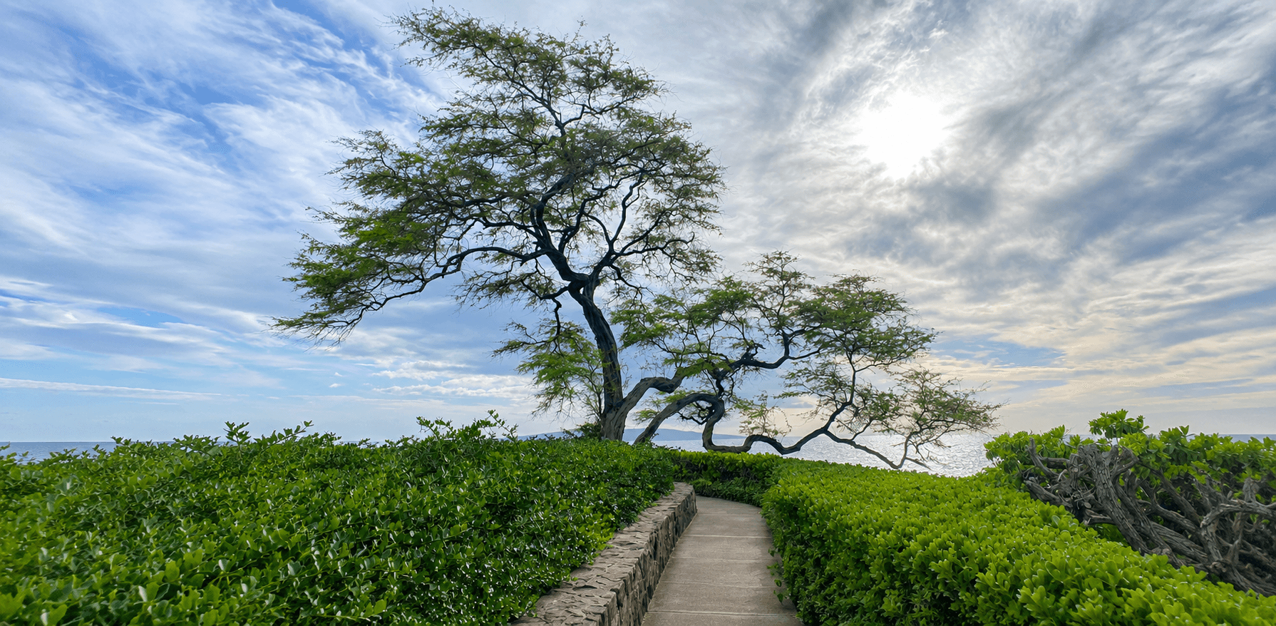Rest in Him — Blend to Bless faith and nature lifestyle