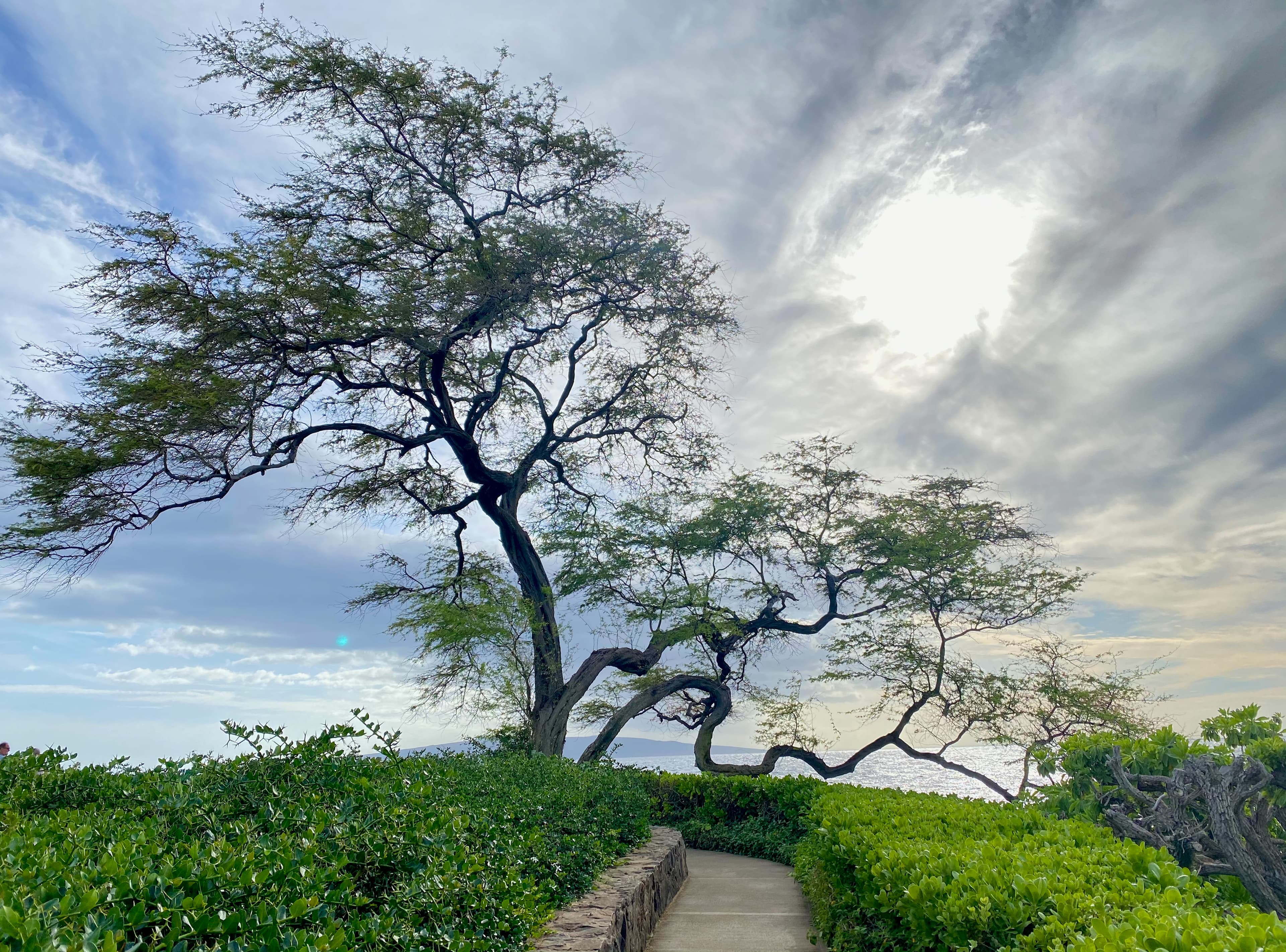 Rest in Him — Blend to Bless faith and nature lifestyle
